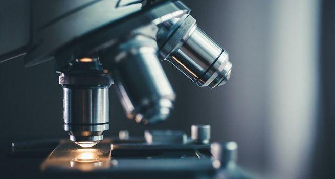 CEL-SCI Corporation (NYSE: CVM) Advances Saudi Arabia Multikine Deal With 50/50 Revenue-Share Agreement at BIO 2026