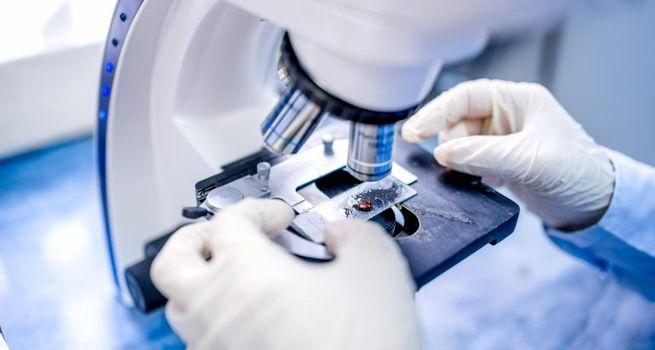 Why this Biotech Gained 50% This Month Then Lost 19% Today - Buy the Dip or Run?