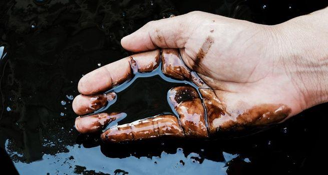 US Sector Analysis: Oil Surge Rattles Wall Street