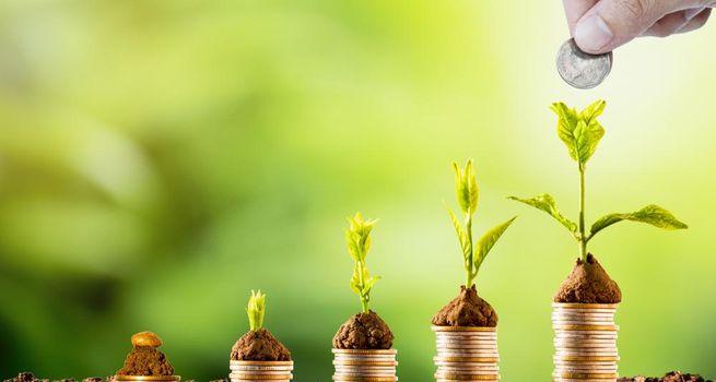 Nasdaq Dividend Calendar: Seven Stocks Go Ex-Dividend on May 27