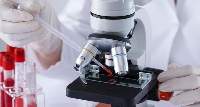 UnitedHealth (NYSE:UNH) Stock: How a Healthcare Colossus and Optum Engine Powers the S&P 500