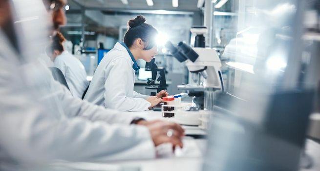 June 2026's Best Dividend Stocks for Every Portfolio Size, Accenture Makes the List for a Surprising Reason