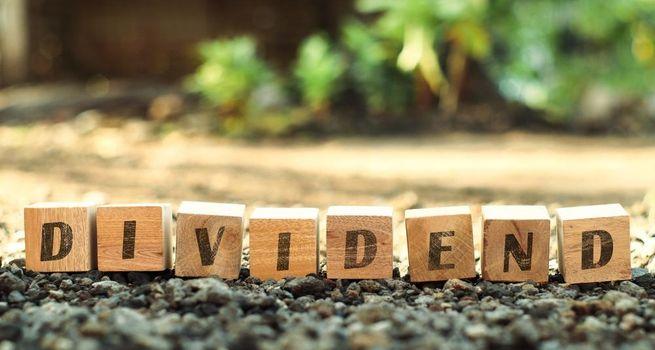 Invesco Mortgage Capital (NYSE:IVR) 18% Dividend Yield: Can the Mortgage REIT Sustain It?