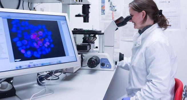 Why Healthcare Stock agilon health (NYSE: AGL) Is Up 13% Today