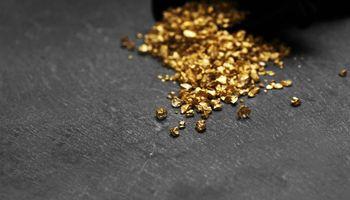 US GoldMining Inc. (NASDAQ: USGO) launches $4 million registered direct offering of 522,876 shares