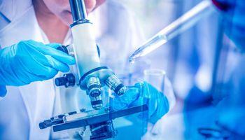 Regencell Bioscience Holdings Limited (NASDAQ:RGC) Rebounds 8.15% as No-Revenue Valuation Risks Persist