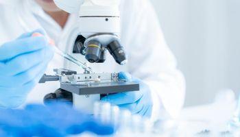 Why Healthcare Stock UnitedHealth Group (NYSE:UNH) Is Up 5% Today
