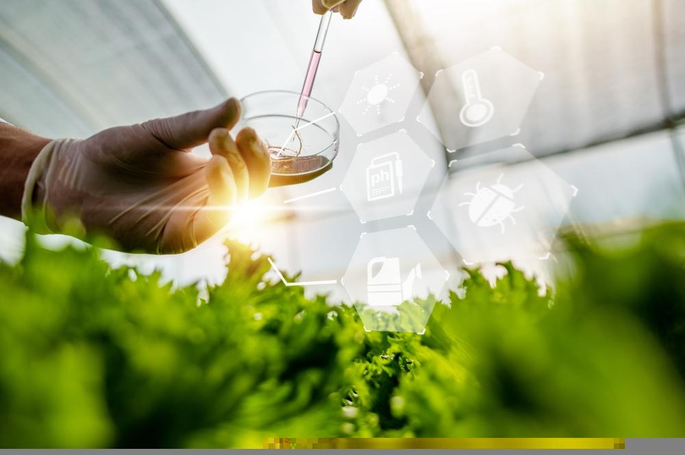 One NASDAQ- Listed Biotechnology Stock at Decent Technical Levels – CGTX