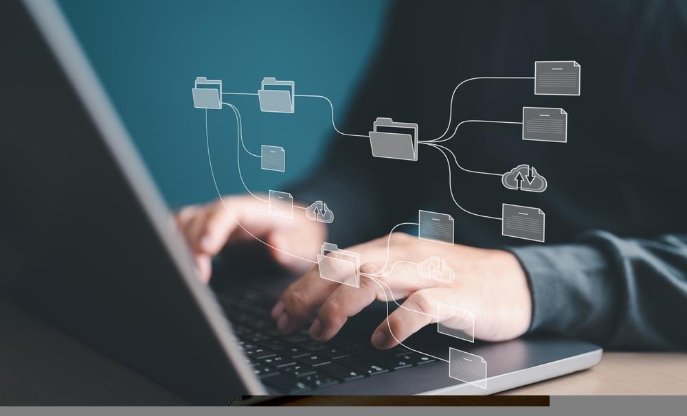 Building Resilient, High-Quality Growth Through Digital Finance and Disciplined Risk Management: LX